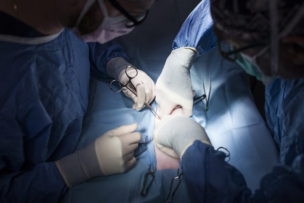 veterinary surgeons operating a dog in the operating room